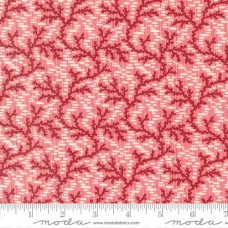 Joyful Gatherings 49211 11