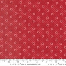 Joyful Gatherings 49216 14