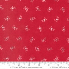 Joyful Gatherings 49217 13