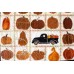 Fall Harvest Table Mat