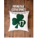 Seventeen Pillow