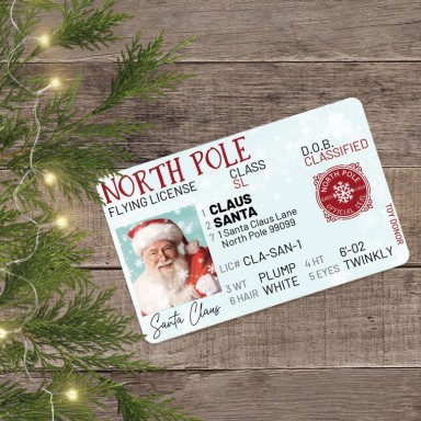 Santas Lost Flying License