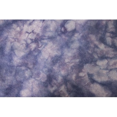 Delphinium