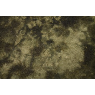 Moss