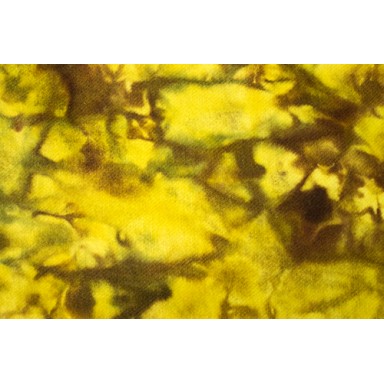 Yellow Leaf
