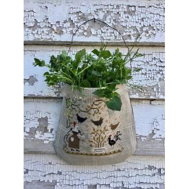 Chickweed