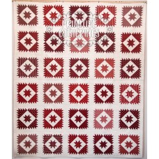 Starry Eyed- Scrappy