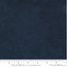 Starlight Gatherings 1040 81