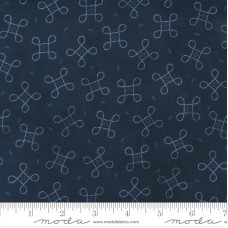 Starlight Gatherings 49161 11