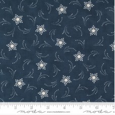 Starlight Gatherings 49166 12