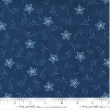 Starlight Gatherings 49166 16