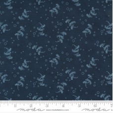 Starlight Gatherings 49167 13