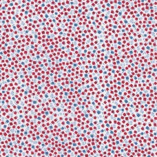 Darlene's Favorites ADZ-20070-202