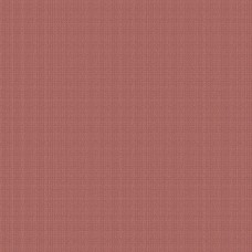 Compass WV-AMELIAE-E