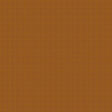 Compass WV-AMELIAE-O