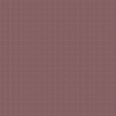 Compass WV-AMELIAE-P