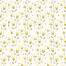 Shadow and Light 9889-Y