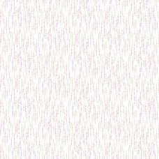 Shadow and Light 9893-E