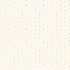 Shadow and Light 9894-Y