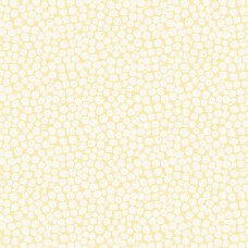 Shadow and Light 9895-Y