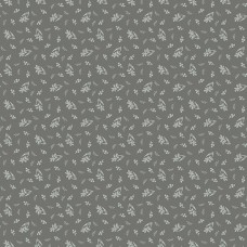 Misty Morning A-307-C