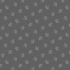 Misty Morning A-309-C