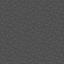 Misty Morning A-310-C