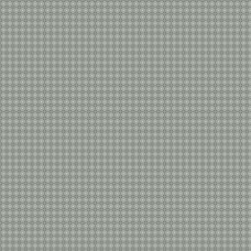 Misty Morning A-312-C