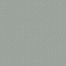 Misty Morning A-313-C