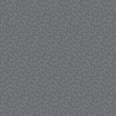 Misty Morning A-314-C