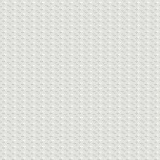 Misty Morning A-315-C