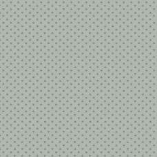 Misty Morning A-318-C