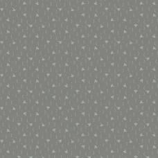 Misty Morning A-321-C