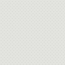 Misty Morning A-322-C