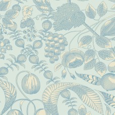 Blue Escape A-354-LT