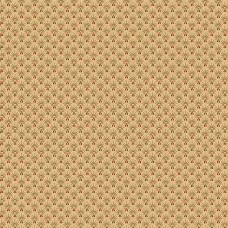 Cheddar & Coal R1769-Tan