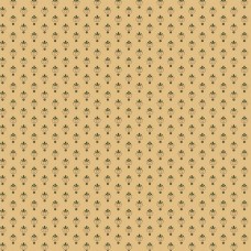 Cheddar & Coal R1770-Cream