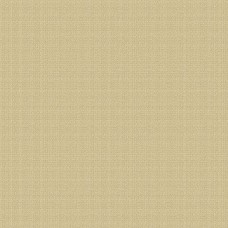 Compass North WV-AMELIA-N