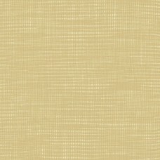 Compass North WV-HEDY-L