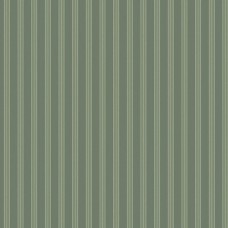 Compass North  WV-NELSON-C