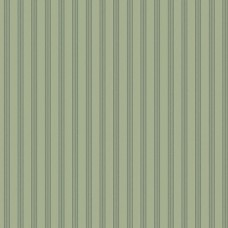 Compass North  WV-NELSON-LC