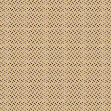 Paula's Companions II R220306 Cream