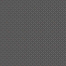 Paula's Companions II R220308 Gray