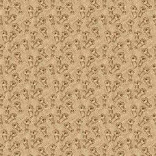 Pinks Of The Past R170185 Brown