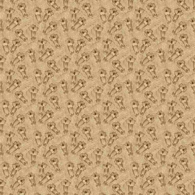 Pinks Of The Past R170185 Brown