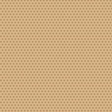 Pinks Of The Past R170191 Tan