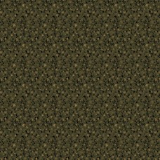 Primitive Traditions 1011-0116