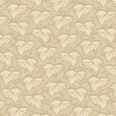 Midnight Lace R220329 Beige