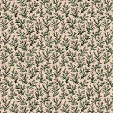 Midnight Lace R220331 Cream