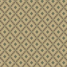 Midnight Lace R220332 Tan